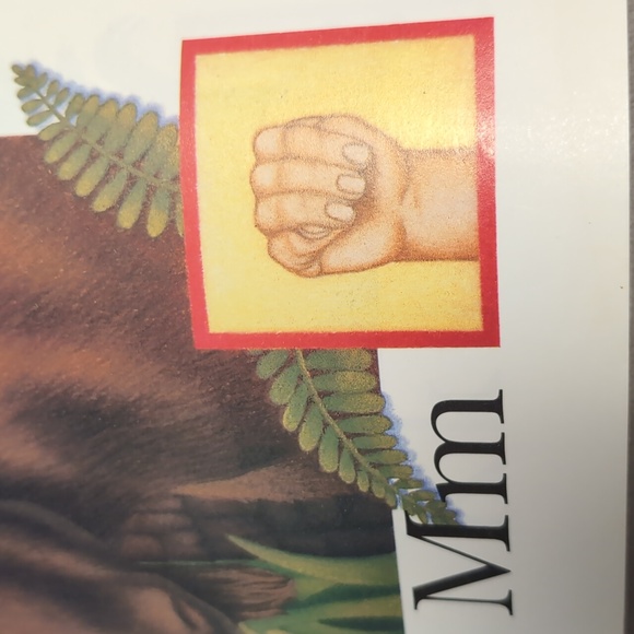 A Sign Language Alphabet Hand signs Scholastic By Kathleen Fain - Picture 14 of 16